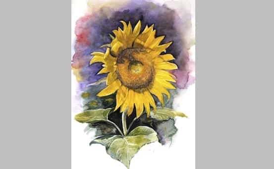 "Sunflower Greeting" I could not resist painting this majestic flower after driving past a sunflower crop. Original and prints available.