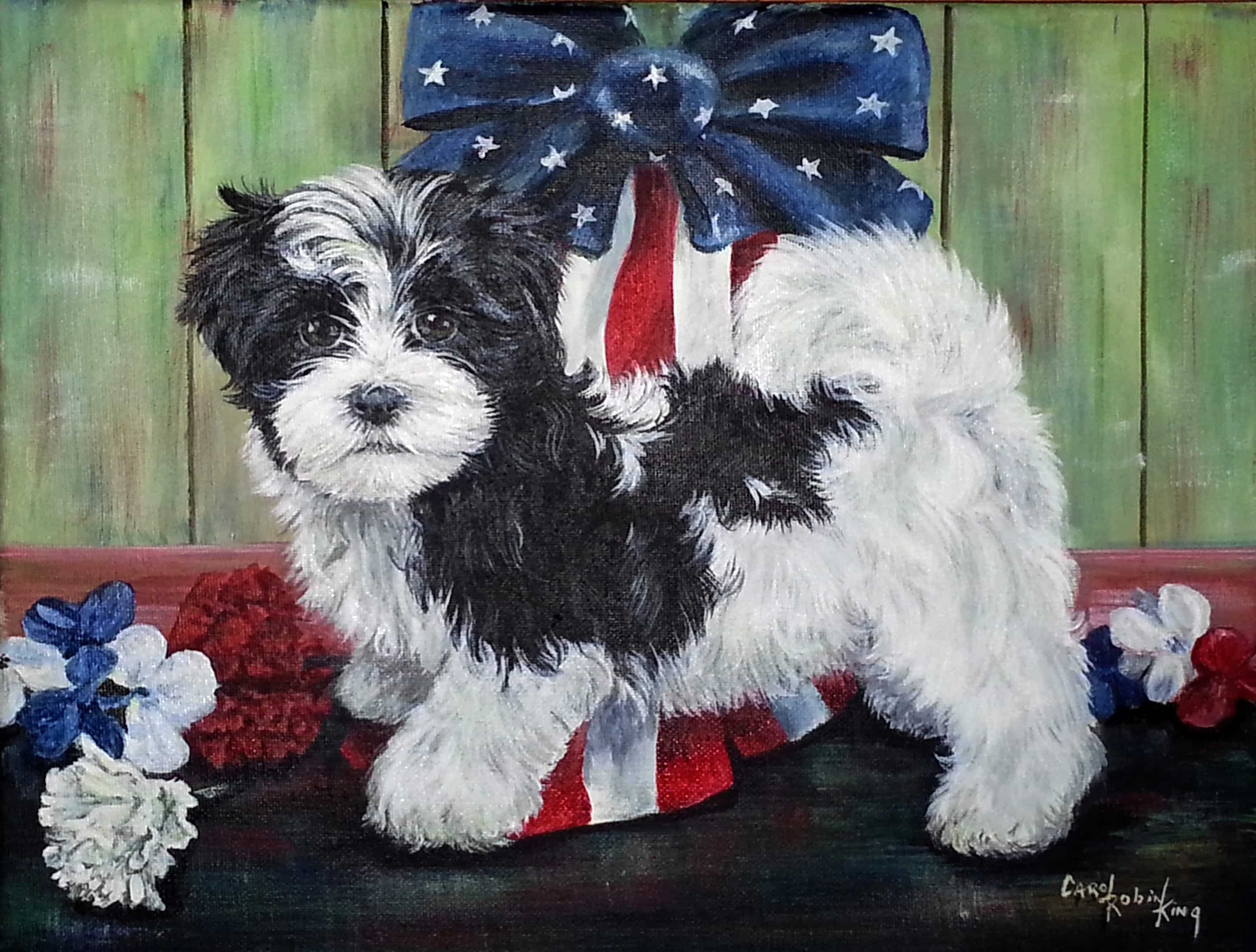 "Maggie May" is a portrait of another wonderful Havanese puppy. Acrylic in private Collection