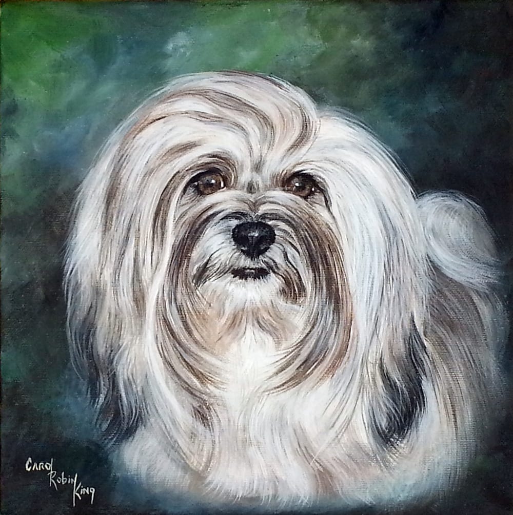 "Carman Maria" captures my wonderful Champion Havanese girl after her championship win. Acrykic in private collection.